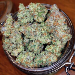 Buy Durban Poison Kush-OZ$290
