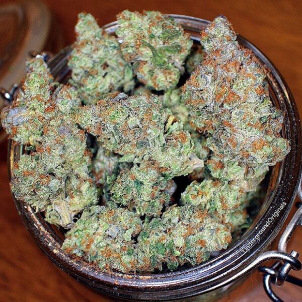 Buy Durban Poison Kush-OZ$290