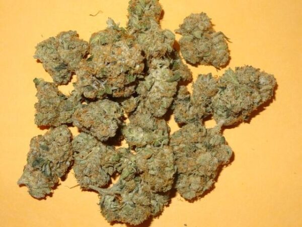 Buy Khalifa Kush