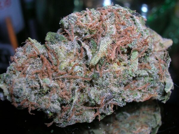 Buy Lavender Kush-oz$290