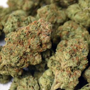 Buy Quattro Kush Online