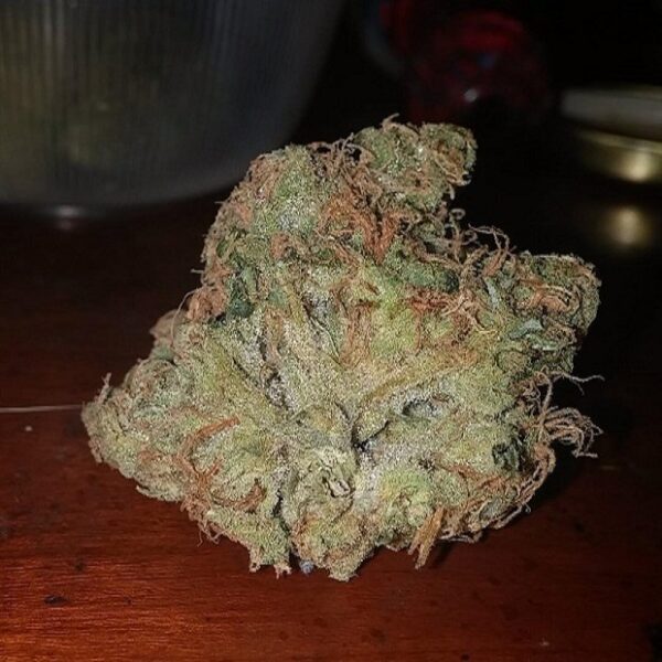 Buy Acapula Gold Kush