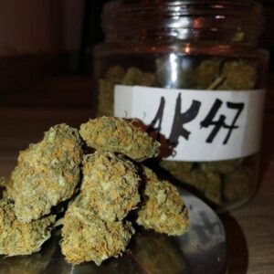Buy AK47 KUSH