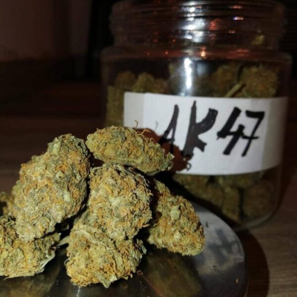 Buy AK47 KUSH