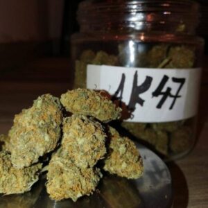 Buy AK47 KUSH $290