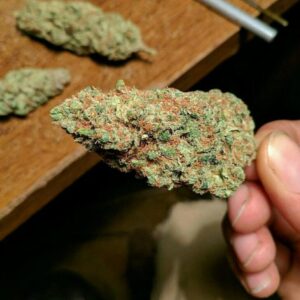 Buy Alaskan Thunder Fuck Kush -OZ$300