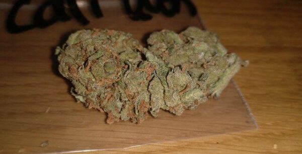 Buy Cali Kush Online-OZ$280