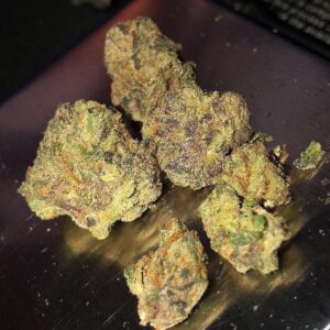 Buy Chocolope Kush
