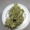 Buy Cinex Kush