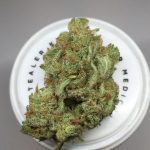 Buy Cinex Kush