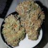 Buy Cracker Jack Kush
