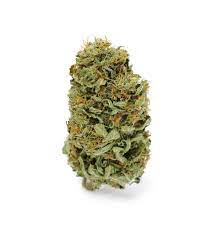 Buy Amnesia Haze Kush-$290