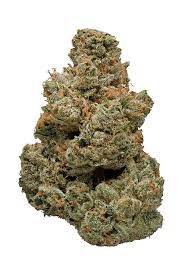 Buy Apollo 13 Kush-OZ$290