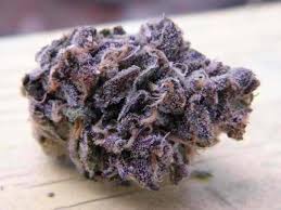 Buy Black Cherry Pie Kush-oz$300