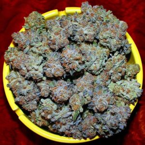 Buy Harlequin Kush Online