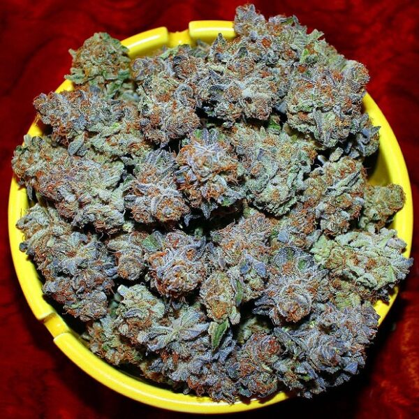 Buy Harlequin Kush Online