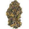 Buy Mendo breath