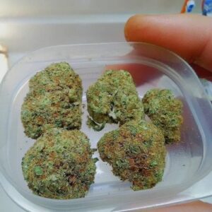 Buy Island Sweet Skunk Kush