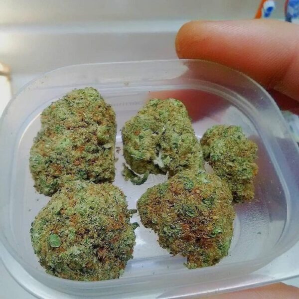 Buy Island Sweet Skunk Kush