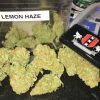 Buy Lemon Haze Kush-OZ$290