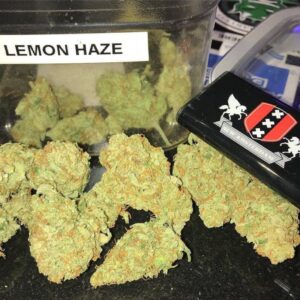 Buy Lemon Haze Kush-OZ$290