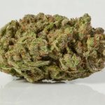 Buy Casey Jones Kush