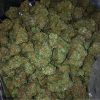 Buy OG Kush-oz$280
