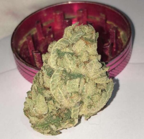 Buy Purple Punch Strain Online-oz$300