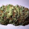 Buy Quantum kush
