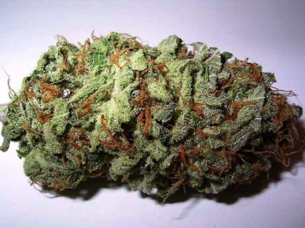 Buy Quantum kush