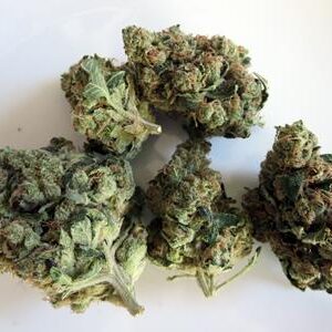Buy Sour Headband kush-oz$300