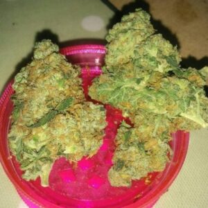 Buy Super Skunk Cannabis Strain Online-oz$250