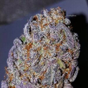 Buy Tangie Kush-oz$280