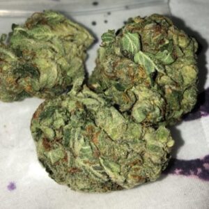 Buy White Rhino Cannabis Strain Online-oz$280