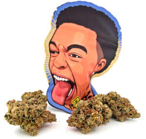 Strawberry Champagne Dutt Pack Weed